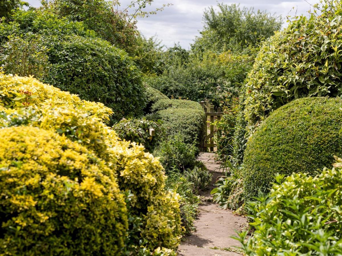 Pass The Keys Cosy Cottage With Views Over The Shropshire Hills Ludlow Buitenkant foto